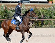 Minardi Gipsy Boy GioCav2013 S5 1954 : Campionati Italiani Giovani Cavalli, Cattolica, Gipsy Boy, Minardi Claudio, ph Stefano Secchi ©